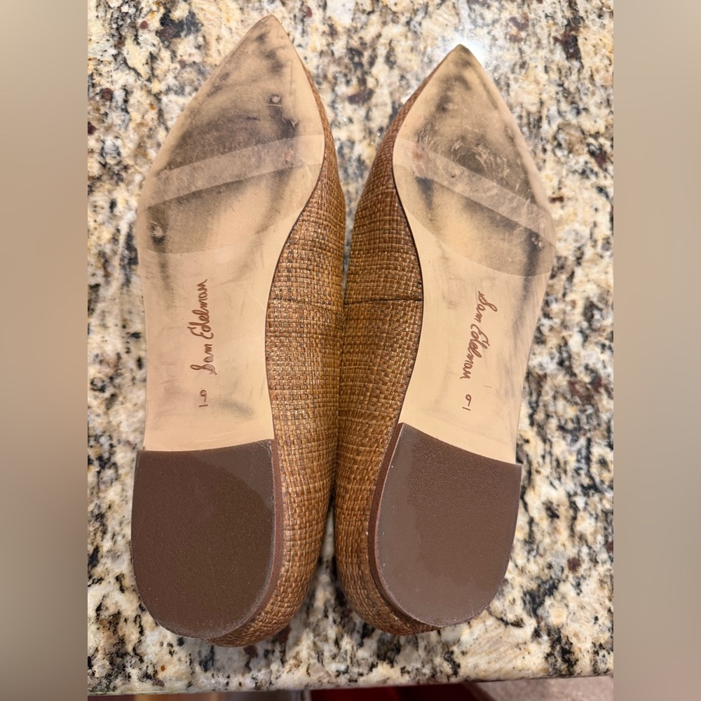 Sam Edelman Wanda Pointed Toe Flat in Beechwood - Picture 4 of 4